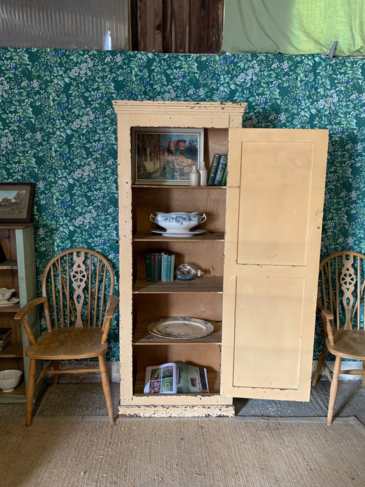 Chippy Paint Pantry Cupboard
