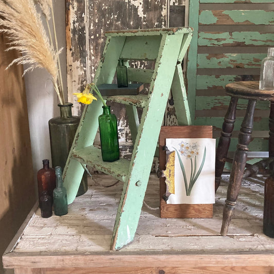 Vintage Chippy Paint Ladder - Dovetail Vintage Co